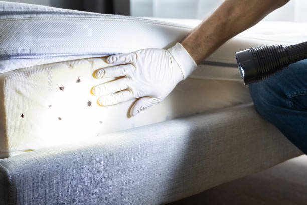 Best Bed Bug Extermination  in Lafayette, IN