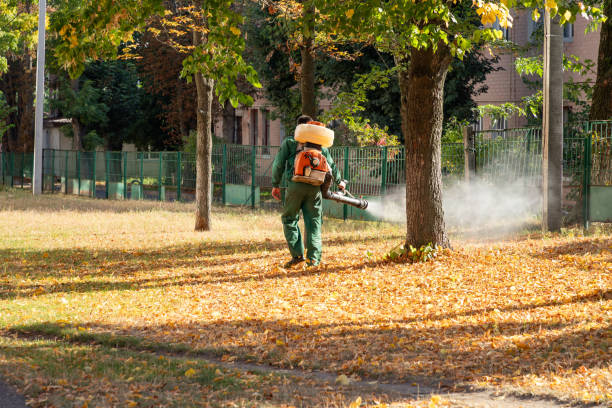 Trusted Lafayette, IN Pest Control Experts