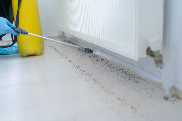 Best Pest Control for Businesses  in Lafayette, IN