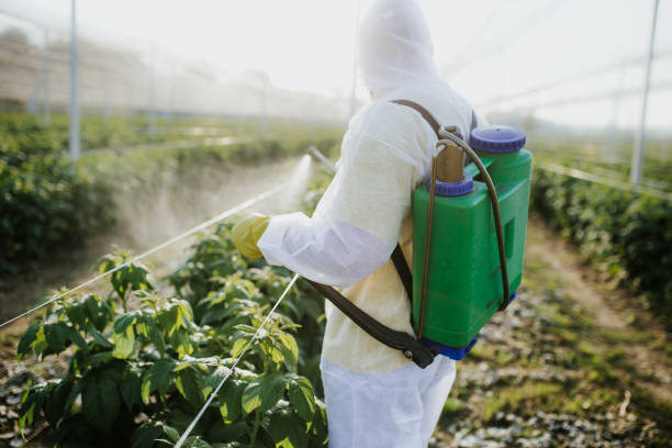 Best Wasp Removal Services  in Lafayette, IN